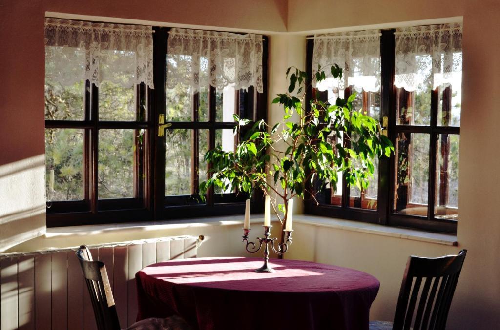Villa Castelul Maria Banpotoc Habitación foto